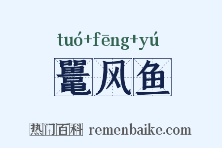 鼍风鱼是什么意思的图片